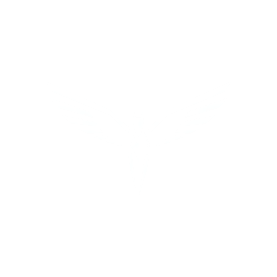 Símbolo da Pegasus